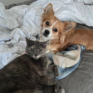 Meet your Posher, Annie